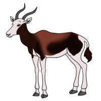 Thumbnail for ANI-4688: Pintada