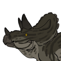 Thumbnail for ANI-4691: Triceratops (F)