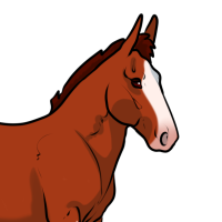 Thumbnail for ANI-4693: Domestic Horse Mule (F)