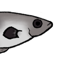 Thumbnail for ANI-4703: Arrow