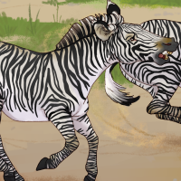 Thumbnail for ANI-4707: Grévy's Zebra (F)