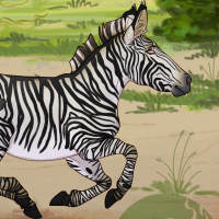 Thumbnail for ANI-4708: Grévy's Zebra (F)