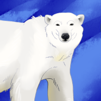 Thumbnail for ANI-4715: Polar Bear (F)