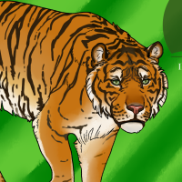 Thumbnail for ANI-4716: Sumatran Tiger (F)