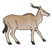 Thumbnail for ANI-4732: Common Eland (F)