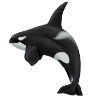 Thumbnail for ANI-4721: Orca (M) - Strider