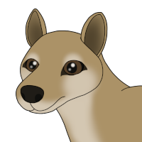 Thumbnail for ANI-4735: Dusk