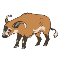 Thumbnail for ANI-4738: Red River Hog (M)