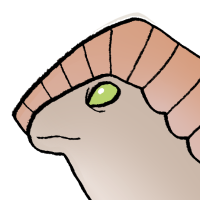 Thumbnail for ANI-4749: Greater Fairy Armadillo (M)