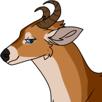 Thumbnail for ANI-4755: Bohor Reedbuck (F)