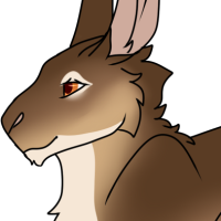 Thumbnail for ANI-4758: European Rabbit (F)
