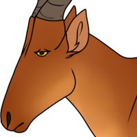 Thumbnail for ANI-4759: Lelwel Hartebeest (M)