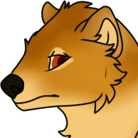Thumbnail for ANI-4764: Yellow Mongoose (F)