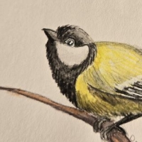 Thumbnail for ANI-4766: Byerly