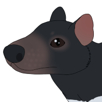 Thumbnail for ANI-4768: Tooth