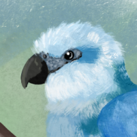 Thumbnail for ANI-4788: Sapphire