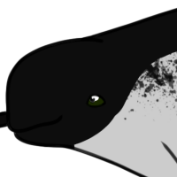 Thumbnail for ANI-4796: Narwhal (M)