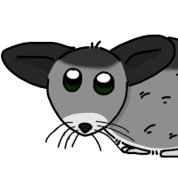 Thumbnail for ANI-4798: Long-tailed Chinchilla (M)