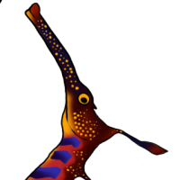 Thumbnail for ANI-4799: Seadragon (M)