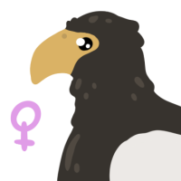 Thumbnail for ANI-4811: Steller's Sea Eagle (F)