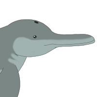 Thumbnail for ANI-4814: Mirage