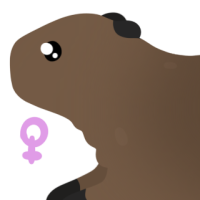 Thumbnail for ANI-4818: American Beaver (F)