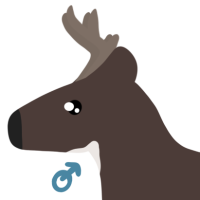 Thumbnail for ANI-4825: Tamarack