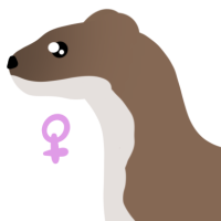 Thumbnail for ANI-4826: Stoat (F)