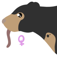 Thumbnail for ANI-4828: Sun Bear (F)