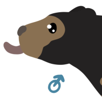 Thumbnail for ANI-4829: Sun Bear (M)