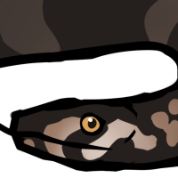 Thumbnail for ANI-4832: Bakir