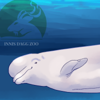 Thumbnail for ANI-4834: Beluga Whale (F)