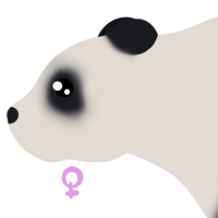 Thumbnail for ANI-4855: Giant Panda (F)