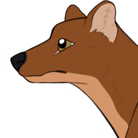 Thumbnail for ANI-4858: Siberian