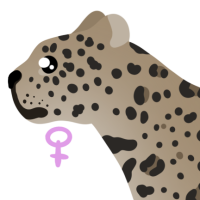 Thumbnail for ANI-4865: Jaguar (F)