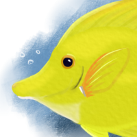 Thumbnail image for ANI-4867: Limon