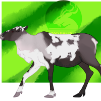 Thumbnail for ANI-4871: Caribou (F)
