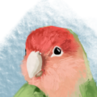 Thumbnail for ANI-4873: Lovebird (F)