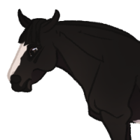 Thumbnail for ANI-4874: Domestic Horse Shire  (F)