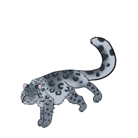 Thumbnail for ANI-4877: Snow Leopard (M)