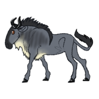 Thumbnail image for ANI-1357: Bert