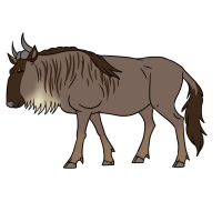 Thumbnail image for ANI-4792: Brie