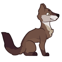Thumbnail for ANI-4896: American Marten (M)