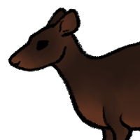 Thumbnail for ANI-4913: Black Wallaroo (F)