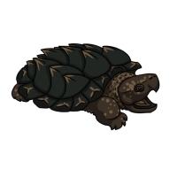 Thumbnail for ANI-4917: Leviathan (Macrochelys temminckii)