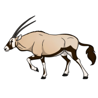 Thumbnail for ANI-4925: Gemsbok (F)