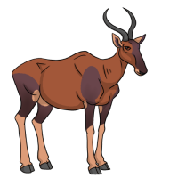 Thumbnail for ANI-4941: Topi (M)