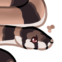 Thumbnail for ANI-4953: Narcissa