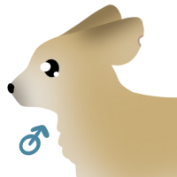 Thumbnail of ANI-4965: Fennec Fox (M)