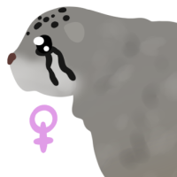 Thumbnail for ANI-4971: Pallas Cat (F)